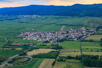 Vue aérienne de Vue de la ville depuis l'est à Ruppertsberg dans le département Rhénanie-Palatinat, Allemagne