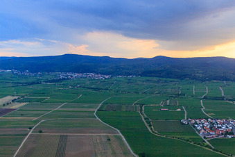 Vue aérienne de Village viticole au bord du Haardt vu de l'est à le quartier Königsbach in Neustadt an der Weinstraße dans le département Rhénanie-Palatinat, Allemagne