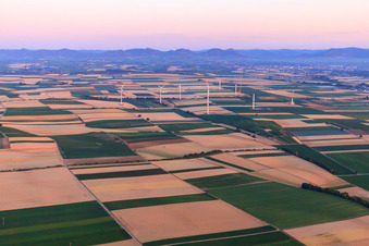 Vue aérienne de Parc éolien le soir vu de l'est à Offenbach an der Queich dans le département Rhénanie-Palatinat, Allemagne