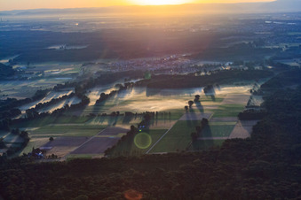 Vue aérienne de Brouillard matinal sur les champs entre Speyerbach et Kropsbach à Harthausen dans le département Rhénanie-Palatinat, Allemagne