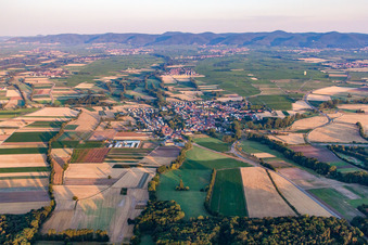 De l'est à le quartier Geinsheim in Neustadt an der Weinstraße dans le département Rhénanie-Palatinat, Allemagne d'en haut