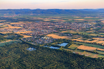 Vue aérienne de Vue d'ensemble de la ville depuis le sud-est à Haßloch dans le département Rhénanie-Palatinat, Allemagne