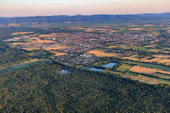 Photographie aérienne de Vue d'ensemble de la ville depuis le sud-est à Haßloch dans le département Rhénanie-Palatinat, Allemagne