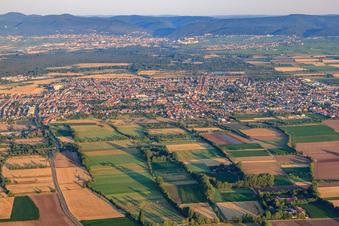 Vue aérienne de Vue d'ensemble de la ville depuis l'est à Haßloch dans le département Rhénanie-Palatinat, Allemagne