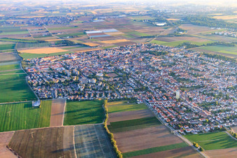 Vue aérienne de Vue d'ensemble de la ville depuis le sud à Mutterstadt dans le département Rhénanie-Palatinat, Allemagne