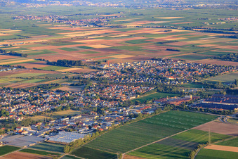 Vue aérienne de Vue d'ensemble de la ville depuis le sud-est à le quartier Dannstadt in Dannstadt-Schauernheim dans le département Rhénanie-Palatinat, Allemagne