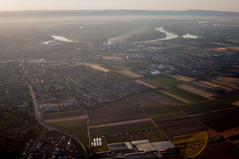 Quartier Gartenstadt in Ludwigshafen am Rhein dans le département Rhénanie-Palatinat, Allemagne depuis l'avion