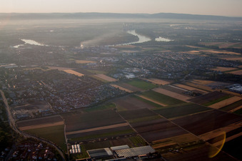 Vue d'oiseau de Quartier Gartenstadt in Ludwigshafen am Rhein dans le département Rhénanie-Palatinat, Allemagne