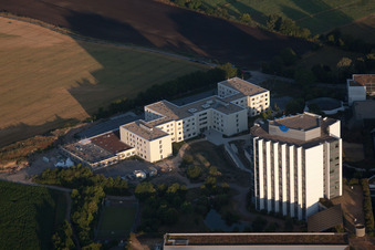 Quartier Oggersheim in Ludwigshafen am Rhein dans le département Rhénanie-Palatinat, Allemagne du point de vue du drone