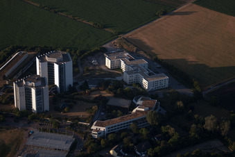 Quartier Oggersheim in Ludwigshafen am Rhein dans le département Rhénanie-Palatinat, Allemagne du point de vue du drone