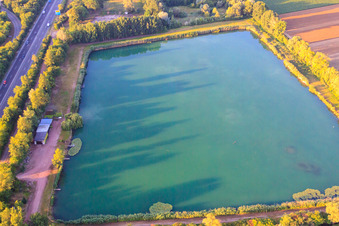 Vue aérienne de Étang Scheller à Mutterstadt dans le département Rhénanie-Palatinat, Allemagne