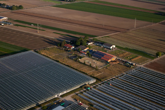 Mutterstadt dans le département Rhénanie-Palatinat, Allemagne vue d'en haut