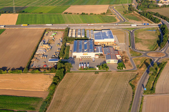Vue aérienne de Renner de légumes V+V GmbH à Mutterstadt dans le département Rhénanie-Palatinat, Allemagne