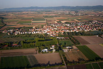 Quartier Dannstadt in Dannstadt-Schauernheim dans le département Rhénanie-Palatinat, Allemagne vue d'en haut