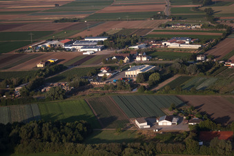 Quartier Dannstadt in Dannstadt-Schauernheim dans le département Rhénanie-Palatinat, Allemagne depuis l'avion