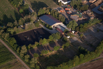 Vue aérienne de Club équestre Dannstadter Höhe eV à le quartier Dannstadt in Dannstadt-Schauernheim dans le département Rhénanie-Palatinat, Allemagne