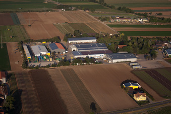 Vue aérienne de Salades fraîches Havita à le quartier Dannstadt in Dannstadt-Schauernheim dans le département Rhénanie-Palatinat, Allemagne