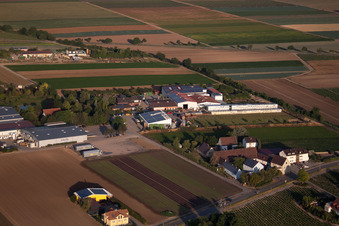 Vue aérienne de Gerd Sahler Commerce de légumes à le quartier Dannstadt in Dannstadt-Schauernheim dans le département Rhénanie-Palatinat, Allemagne
