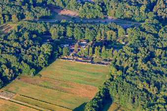 Vue aérienne de Bois de chauffage Hassloch à Haßloch dans le département Rhénanie-Palatinat, Allemagne