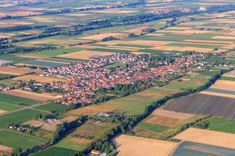 Vue aérienne de Vue de la ville depuis l'est à Gommersheim dans le département Rhénanie-Palatinat, Allemagne