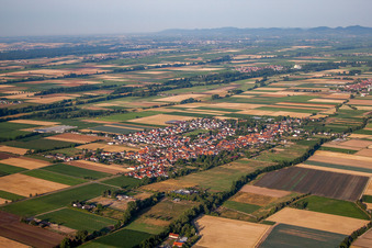 Vue aérienne de Champs agricoles et terres agricoles à Gommersheim dans le département Rhénanie-Palatinat, Allemagne