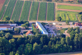 Vue aérienne de Maisons mitoyennes colorées à Am Weiher à Weingarten dans le département Rhénanie-Palatinat, Allemagne