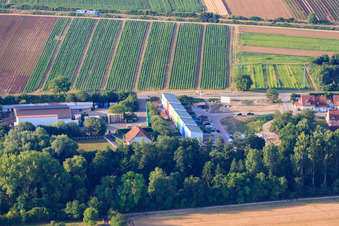 Vue aérienne de Maisons mitoyennes colorées à Am Weiher à Weingarten dans le département Rhénanie-Palatinat, Allemagne