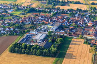 Vue aérienne de Garage Günter et distillerie Löwen GmbH à le quartier Niederlustadt in Lustadt dans le département Rhénanie-Palatinat, Allemagne