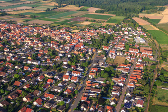 Vue aérienne de Austr à Zeiskam dans le département Rhénanie-Palatinat, Allemagne
