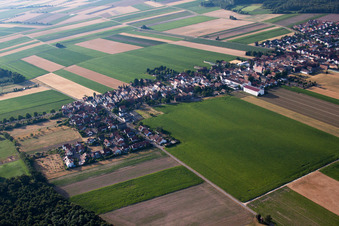 Vue d'oiseau de Quartier Hayna in Herxheim bei Landau dans le département Rhénanie-Palatinat, Allemagne