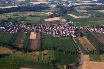 Du nord à Erlenbach bei Kandel dans le département Rhénanie-Palatinat, Allemagne vue d'en haut