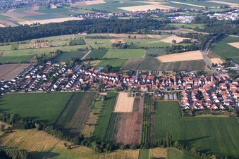 Du nord à Erlenbach bei Kandel dans le département Rhénanie-Palatinat, Allemagne depuis l'avion