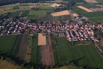 Vue d'oiseau de Du nord à Erlenbach bei Kandel dans le département Rhénanie-Palatinat, Allemagne
