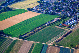 Vue aérienne de Aussiedlerhof Am Wassertugm à Kandel dans le département Rhénanie-Palatinat, Allemagne