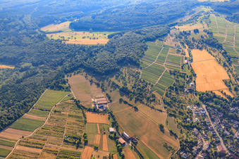 Vue aérienne de Vignoble de Keulenbuckel à le quartier Ellmendingen in Keltern dans le département Bade-Wurtemberg, Allemagne