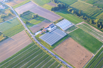 Vue aérienne de Sandhof à Herxheim bei Landau dans le département Rhénanie-Palatinat, Allemagne