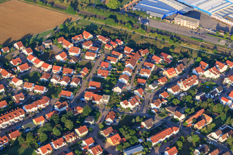 Vue aérienne de Sentier des cerises à Bellheim dans le département Rhénanie-Palatinat, Allemagne