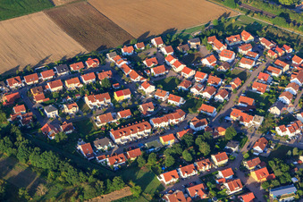 Vue aérienne de Sentier des cerises à Bellheim dans le département Rhénanie-Palatinat, Allemagne
