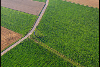 Vol sur le banc panoramique du Palatinat à Herxheim bei Landau dans le département Rhénanie-Palatinat, Allemagne depuis l'avion