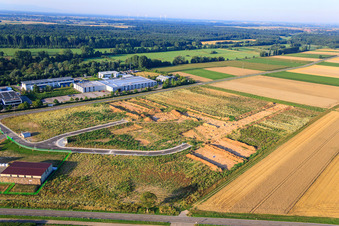 Fouilles archéologiques dans le nouveau parc industriel W II à Herxheim bei Landau dans le département Rhénanie-Palatinat, Allemagne d'en haut