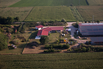 Vue aérienne de Ferme avicole Aussiedlerhof à Erlenbach bei Kandel dans le département Rhénanie-Palatinat, Allemagne