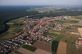 Vue aérienne de Champs agricoles et terres agricoles à Hatzenbühl dans le département Rhénanie-Palatinat, Allemagne