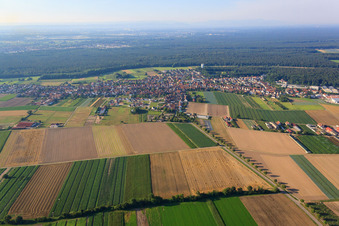 Vue aérienne de Aperçu des villes du nord à Hatzenbühl dans le département Rhénanie-Palatinat, Allemagne