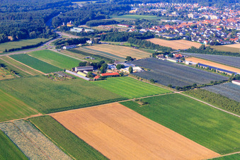 Enregistrement par drone de Marché agricole de Zapf, ferme de fruits et d'asperges, café de la ferme Zapf à Kandel dans le département Rhénanie-Palatinat, Allemagne