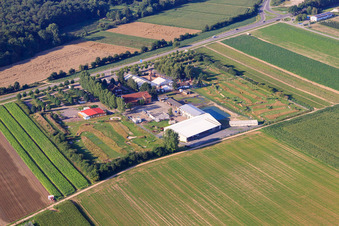 Parc de football et de golf du Palatinat du Sud à Adamshof Kandel à Kandel dans le département Rhénanie-Palatinat, Allemagne du point de vue du drone