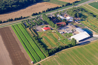 Parc de football et de golf du Palatinat du Sud à Adamshof Kandel à Kandel dans le département Rhénanie-Palatinat, Allemagne d'un drone