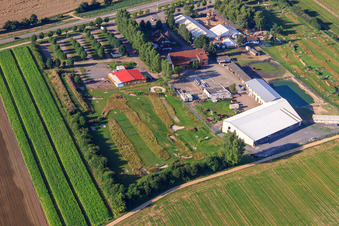 Vue aérienne de Parc de football et de golf du Palatinat du Sud à Adamshof Kandel à Kandel dans le département Rhénanie-Palatinat, Allemagne