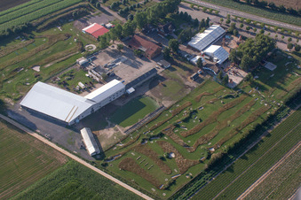 Vue oblique de Tente du restaurant en plein air Adamshof et du parcours de footgolf Kandel à Kandel dans le département Rhénanie-Palatinat, Allemagne
