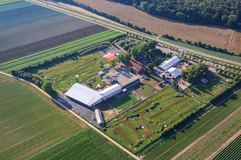 Parc de football et de golf du Palatinat du Sud à Adamshof Kandel à Kandel dans le département Rhénanie-Palatinat, Allemagne hors des airs