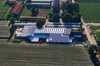 Vue oblique de Obsthof Zapf et Hofcafé et Uwe Nauerth - Production de tabac au Holderbühler Hof et à Kandel dans le département Rhénanie-Palatinat, Allemagne